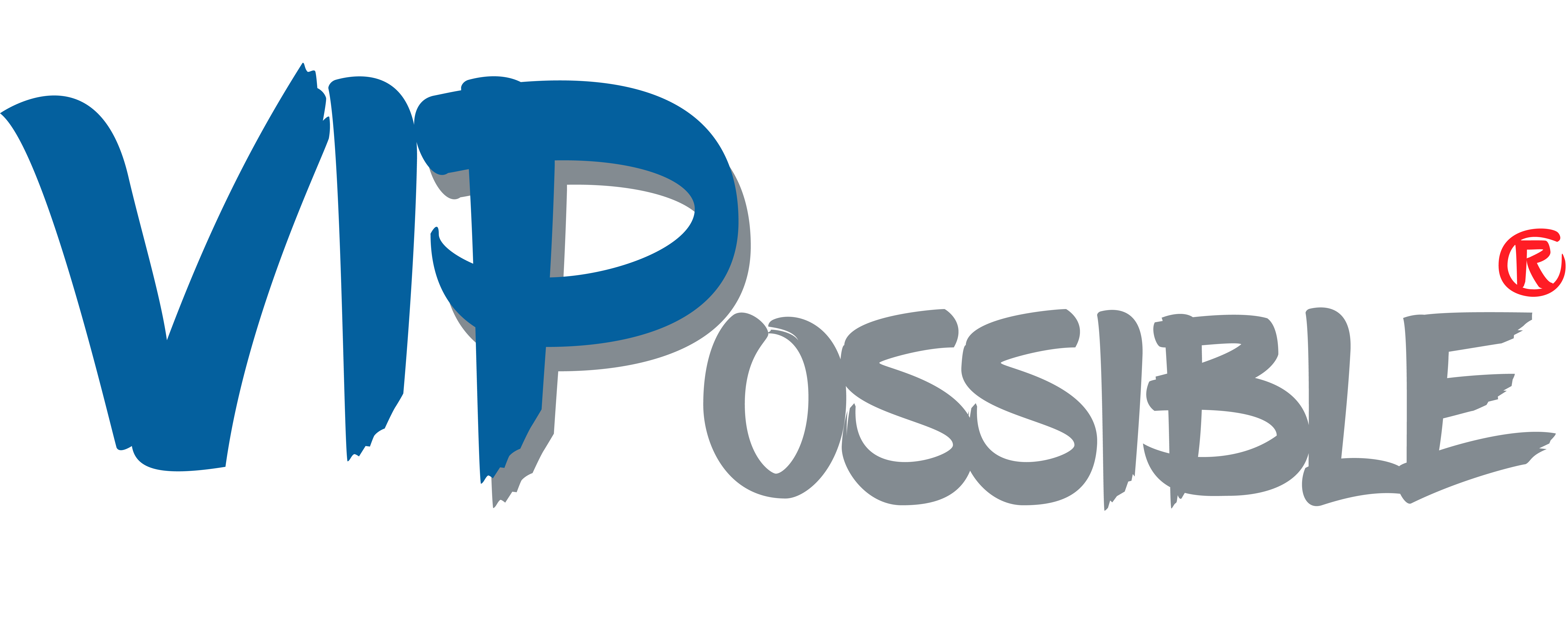 VIP Possible Logo